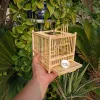 Grasshopper Cage, Bamboo Single Grid, Pure Handmade Bamboo Woven Cage, Classic Insect Crawling Tool with Drawer 4