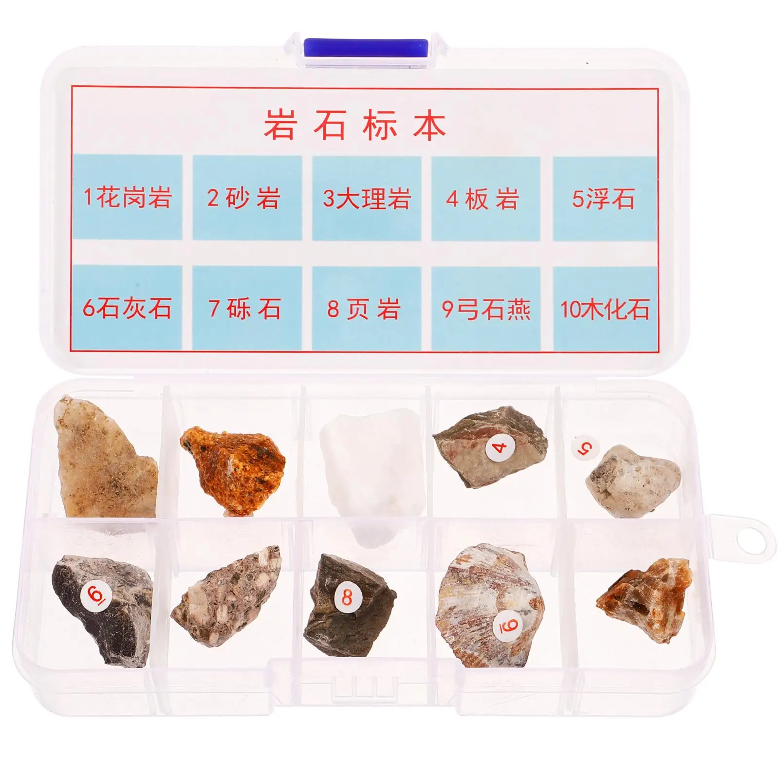 10pcs 암석 표본 교육 보조 수집을위한 천연 미네랄 돌 샘플 키트 교육 도구 과학 지리학