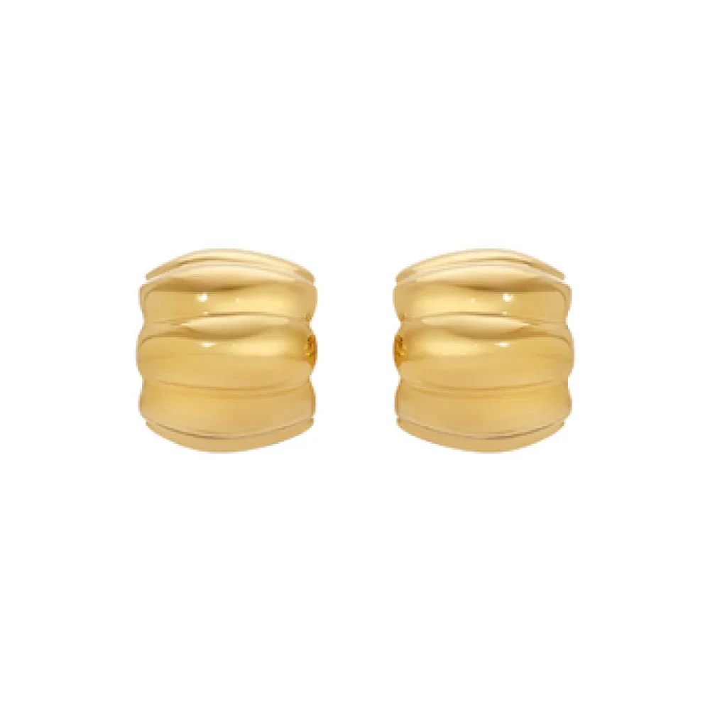 Fashion Mini Wide Wave C Shape Hoop Huggie Earrings for Women Stainless Steel Waterproof Gold Color Small Stud Vintage Jewelry