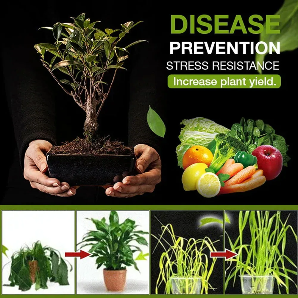 Plant Flower Fertilizer Rooting Soil Activation Treasure Activator Mineral Source Prevent Hardening and Promote Rooting Plant