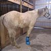 1 Pcs Easy Use Hoof Soaking Boot for Horse Soaker Bag Equine Soaking Boot Hooves Care Treatment Bucket Soaker Sack 6