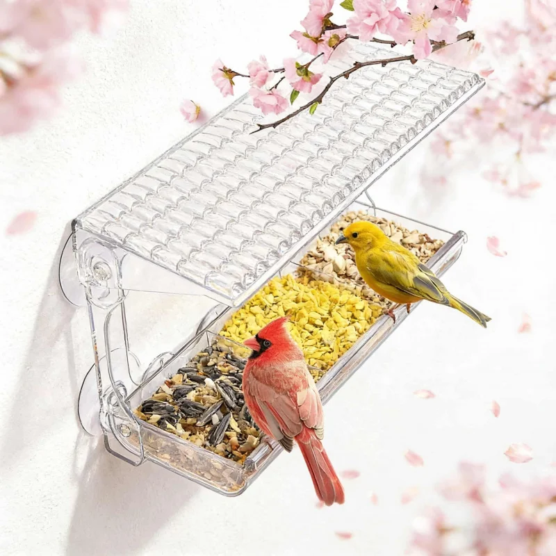 مغذي طيور شفاف للنوافذ | متجر الجيل الأخضر