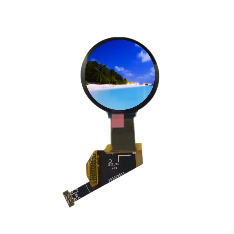 

EDO 1.40 Inch AMOLED Display Panel E1393AA62. A The Built-in RM67162 24 Pin COF Flat Circular Watch Display