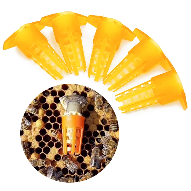 20 db Méh Queen Ketrec Védőfedéli Cellák Ketrecek Védelmi Sapkája Védelmező Apikultúra Méhész Eszköz Méhek Tenyésztési Kellékek - Image 2