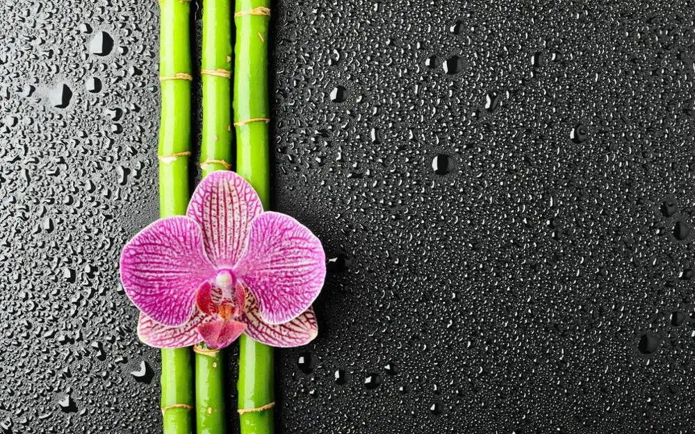 

Zen Flower Happiness Art Film Print Silk Poster Home Wall Decor 24x36inch