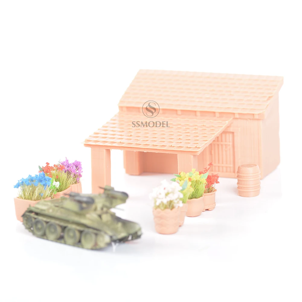 

SSMODEL SST120001 1/120 с 3D печатью из смолы