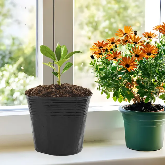 50 Deep Tree Starter Pots - Tall Seedling Pots For Plants, Veggies, Trees - Reusable PP Plastic With Drain Holes