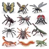 Pack of 12 Insect Bugs Figures Educational Animal Figurines Children Interactive Toys Set Accessory School Classroom 1
