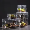 Durable Acrylic Reptile Habitat Clear Multiple Size Lizard Breeding Box Anti-Escape Arboreal Small Pet Cage for Scorpion