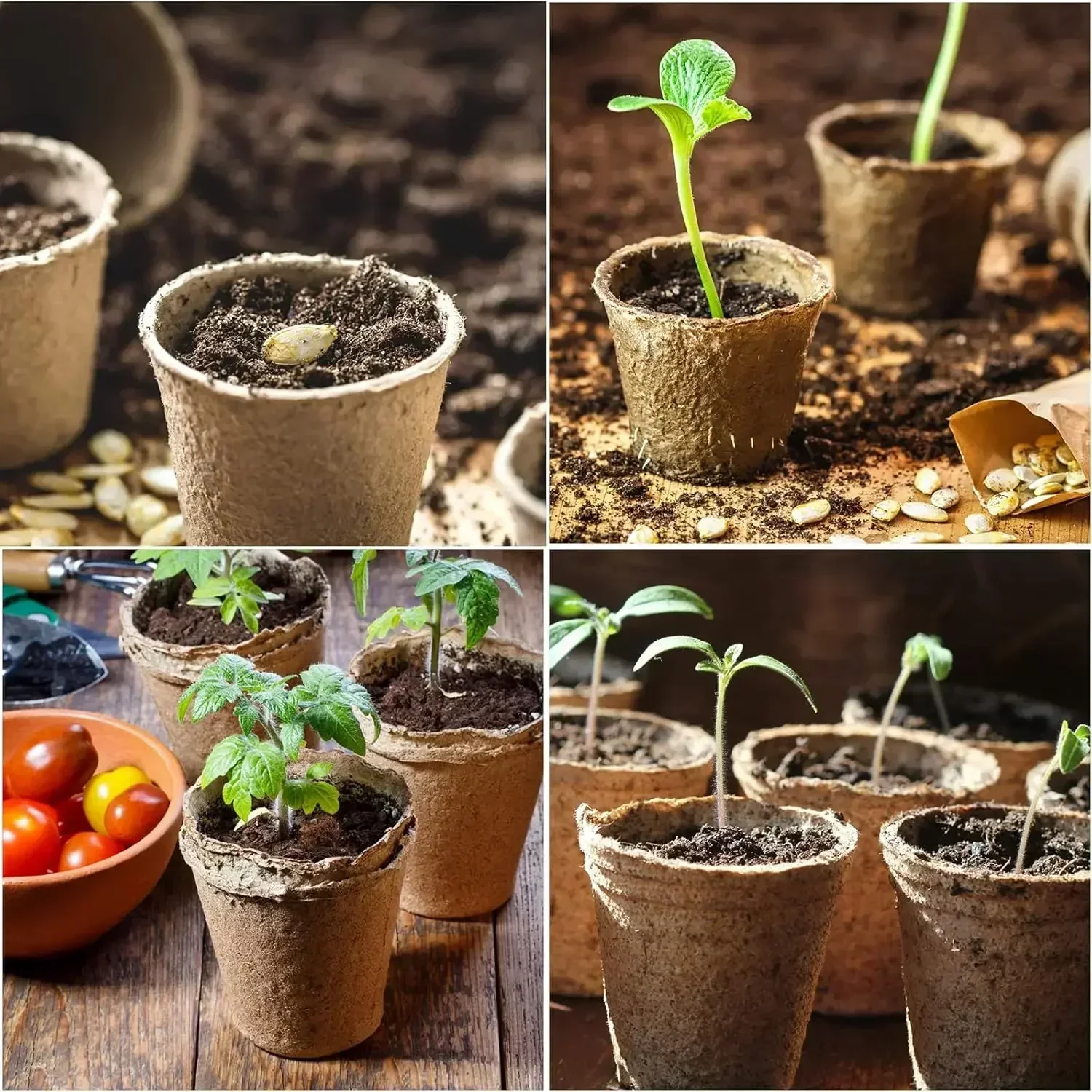 Biodegradable Transplanter Pulp Paper Flower Plant Peat Pots Transplant Seedlings Pots Seed Germination Tray seed starter tray,nursery pots,plant propagation pots