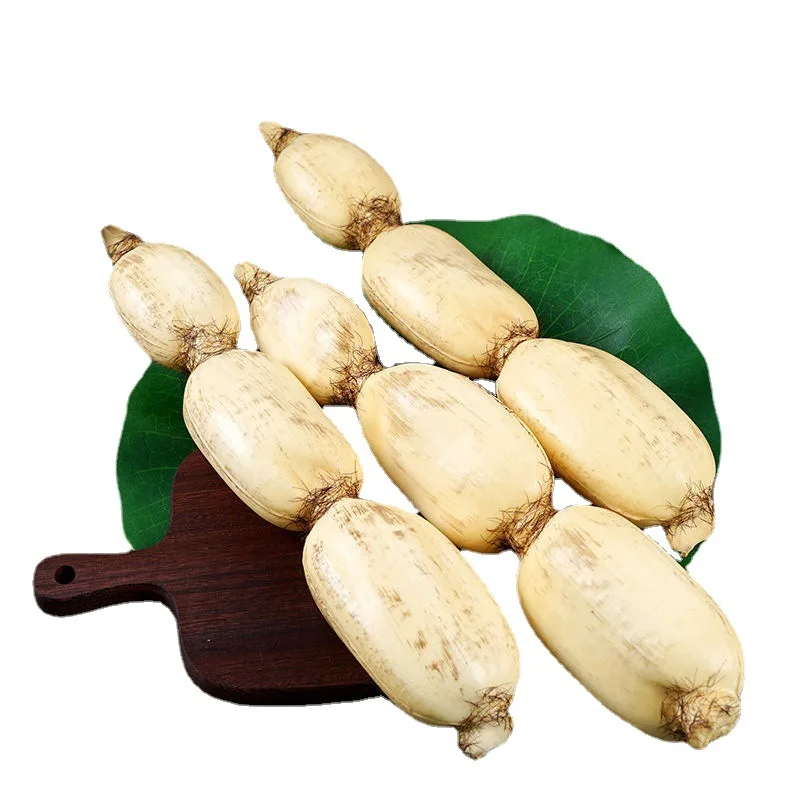 Simulated Vegetable Model Soft Gum Size Balsam Pear Towel Gourd Cucumber Eggplant Corn Lotus Root Soft Decorative Ornaments 1pcs