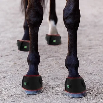 LED Infrared Horse Therapy Boots 6