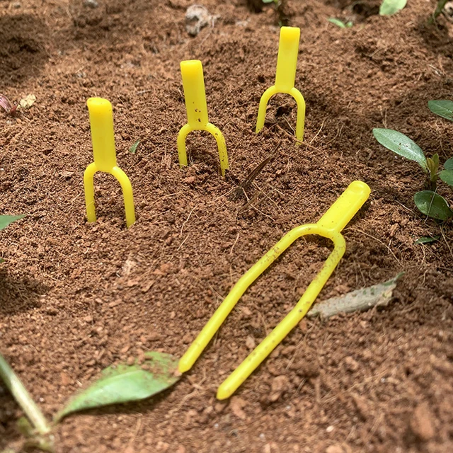 100Db -Os Eper Ültetési Villa Otthoni Kertészeti Berendezések - Image 3