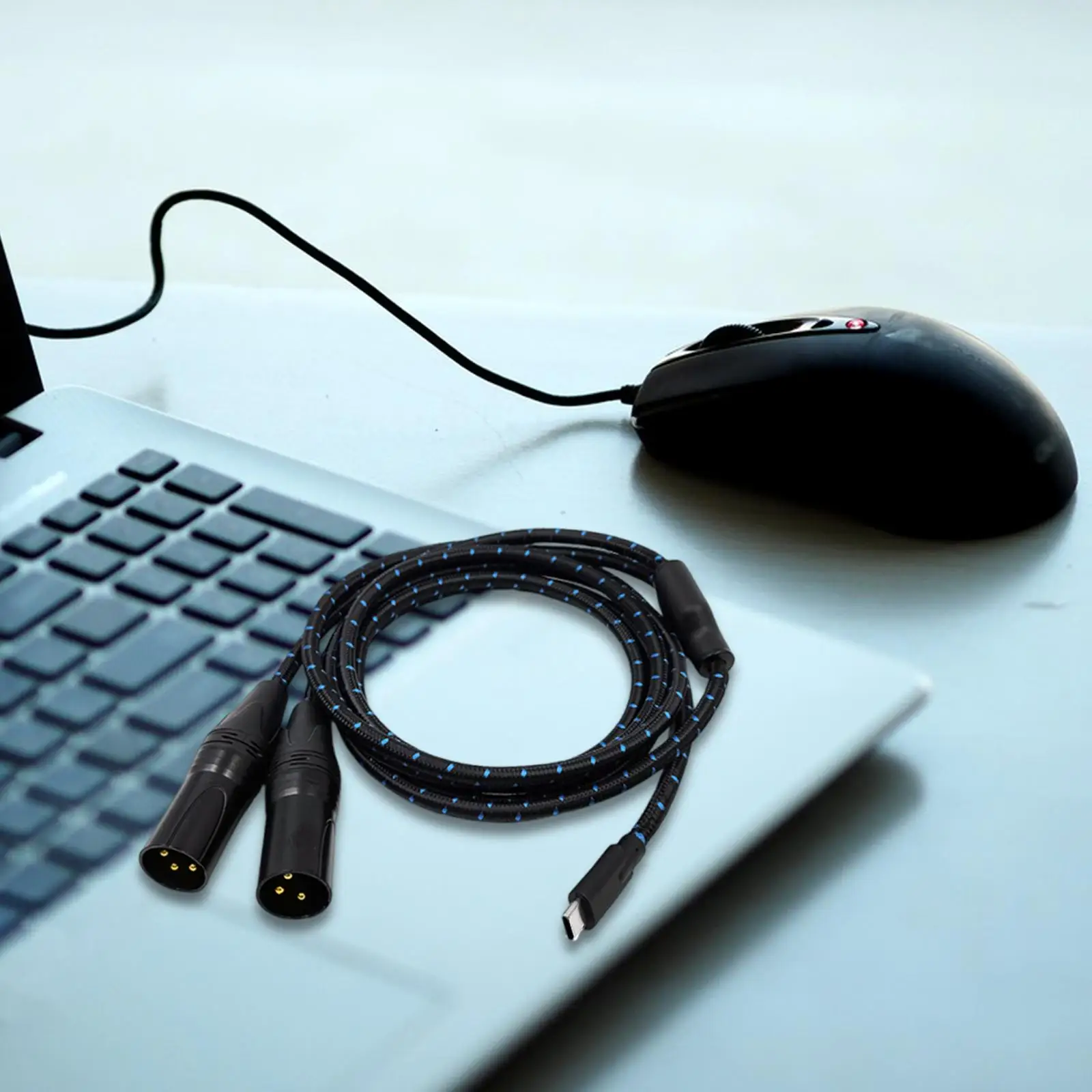 Type C to 2 XLR Male Cable 2M/ 6.6ft for Connecting Mobile Phone Laptops