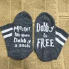 6 - Dobby