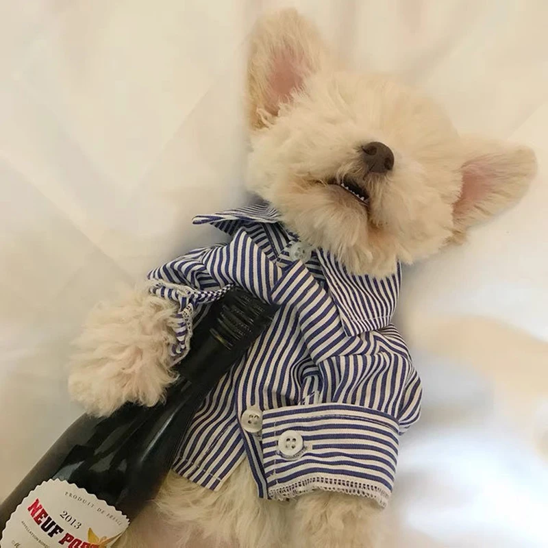 

Pet Clothing Pet Supplies Cut Small Cat Dog Comfortable Shirts