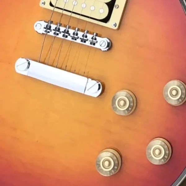 Electric Guitar Rosewood Fretboard, Fixed Bridge, Trapeze