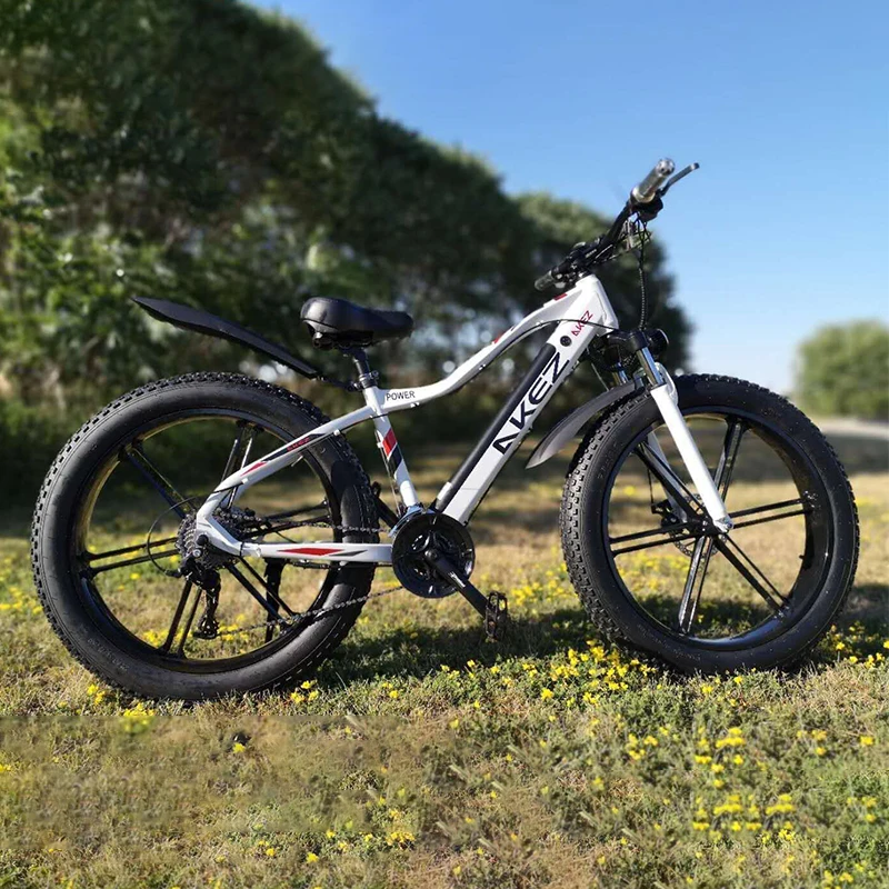 Akez Land Cruiser 48V10AH750W Power Bike 27 Fat Snow Crossing Road Bike 26*4.0-inch Fat Tires Aluminum Mountain
