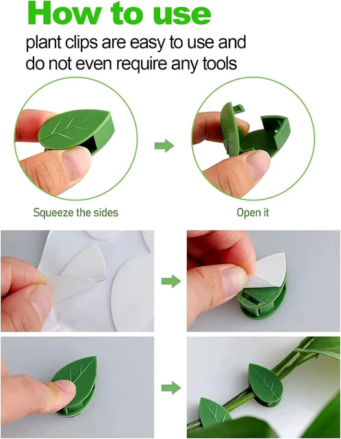 10-50Pcs Plant Climbing Wall Fixture Clips Acrylic Sticker Self-Adhesive Hook Plant Vine Traction Holder Indoor Outdoor Decor 4