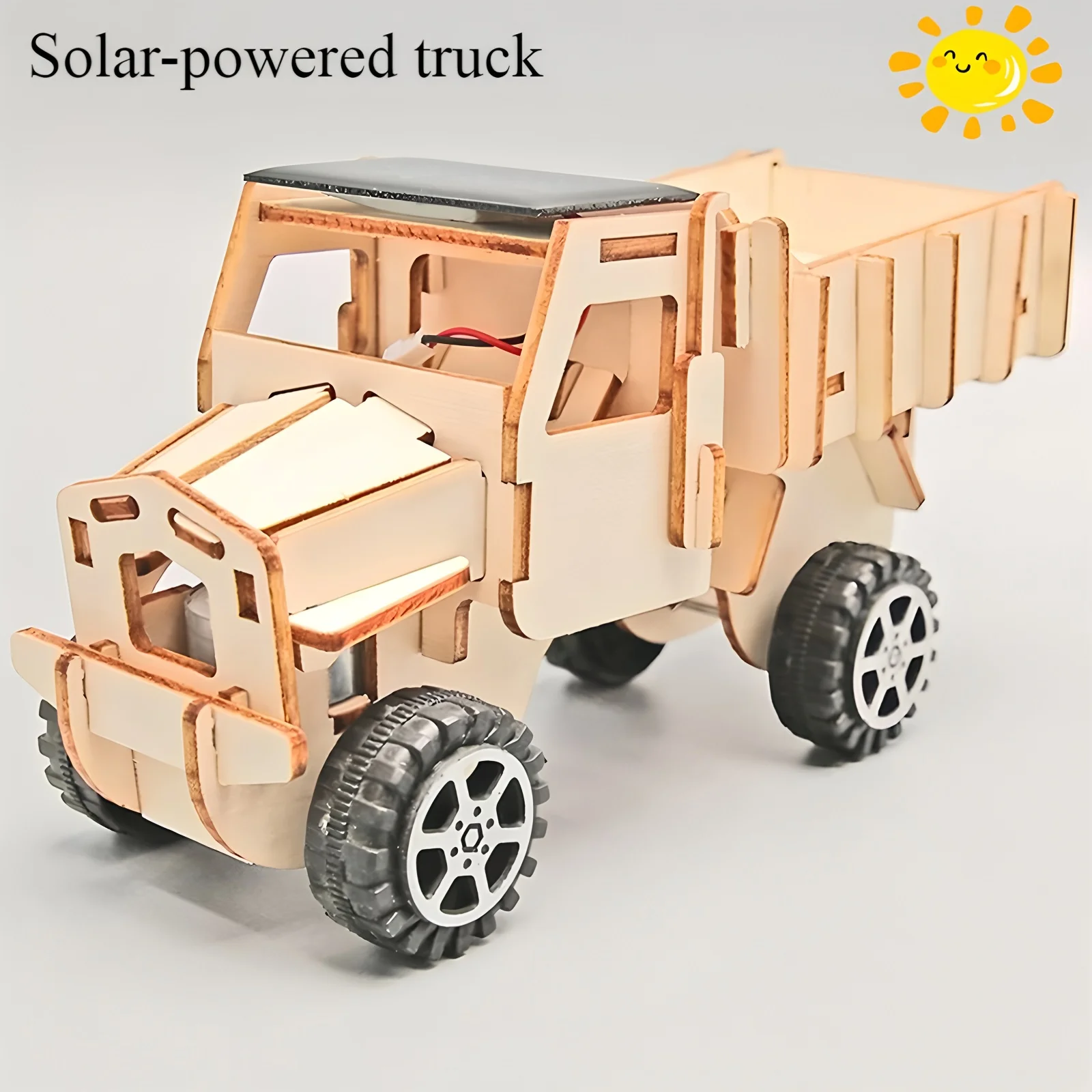 Interactive DIY Wooden Science and Education Puzzle Kit