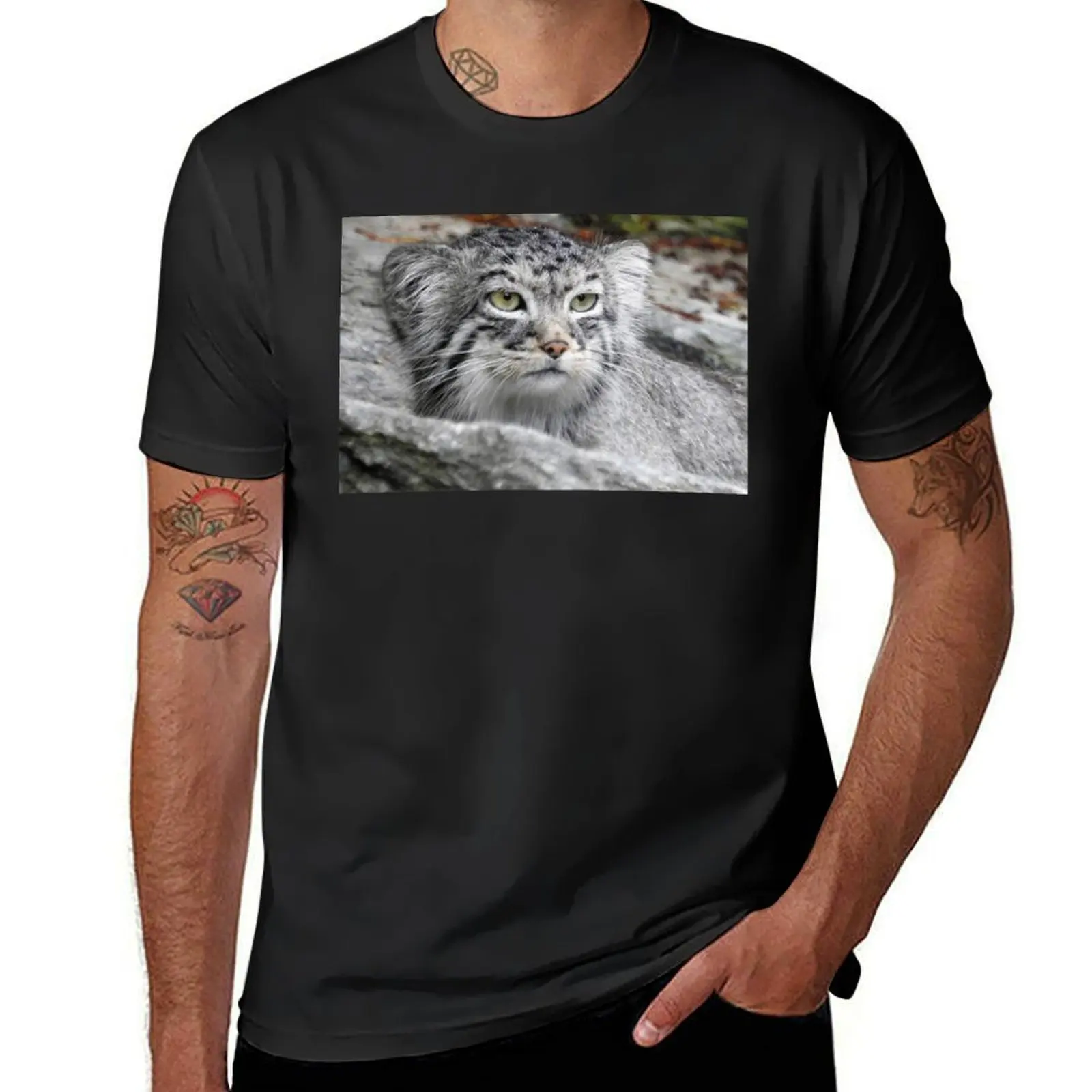 Pallas's Cat T-Shirt kawaii clothes boys animal print plus size tops oversized sweat shirts, men