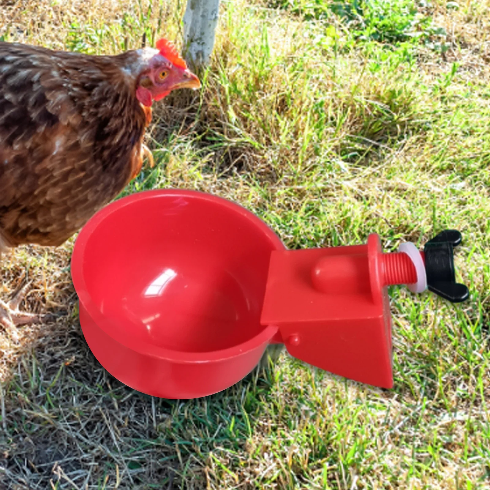 6Pcs Chicken Drinker Cup Kit Waterproof Automatic Livestock Feeding Watering Supplies Farm Animal Drinking Water Feeder