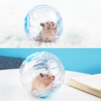 Small Pet Exercise Ball 1