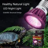 110/220V Reptile Night Lamp Imitation Moonlight Night Sleep Lighting Lamp Turtle Lizard Snake Reptile Amphibian Pets Accessories 1