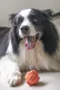 Rope Ball for Large and Small Dogs, Resistant Soft Cotton, Toothbrush, Bite Resistant, Chew, Interactive Dog Toys, Dog Accessori 6