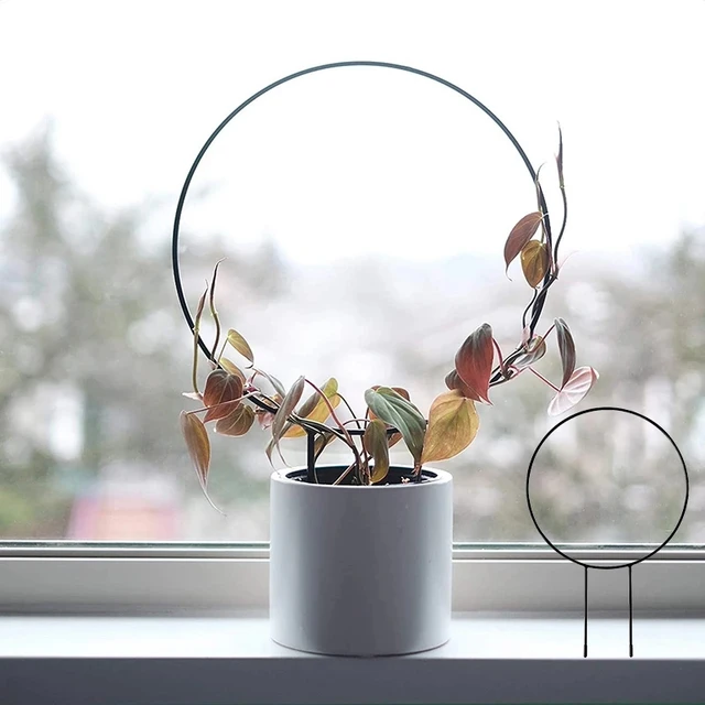 1 Db-Os Növényi Rácsos Támogató Keret Kerek Szőlőmászó Állvány Vaskerti Tartó Tét Szív Alakú Virágkert Dekoráció