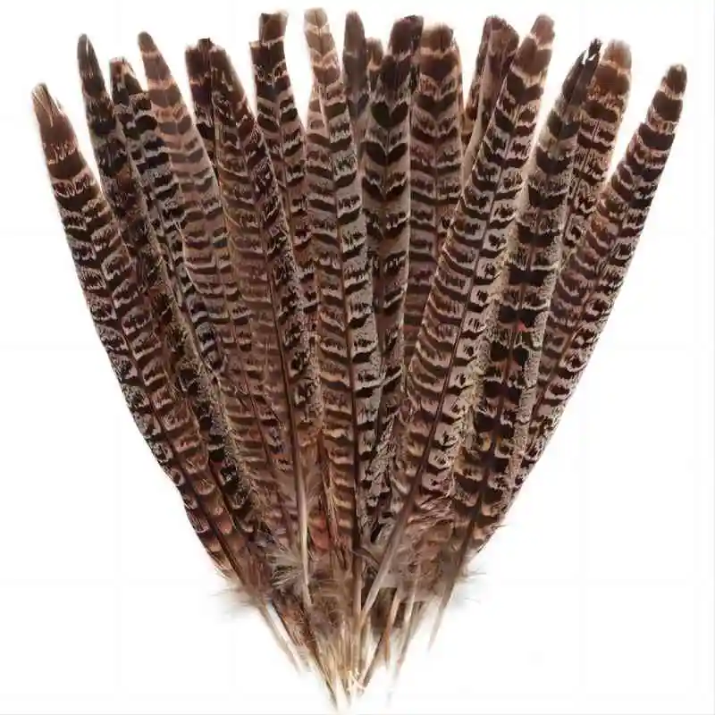 peacock feather decoration 10/20Pcs 10-12inch/25-30CM Natural Peacock Feathers Crafts Handwork DIY Party Plume Wedding Home Furnishing Decor