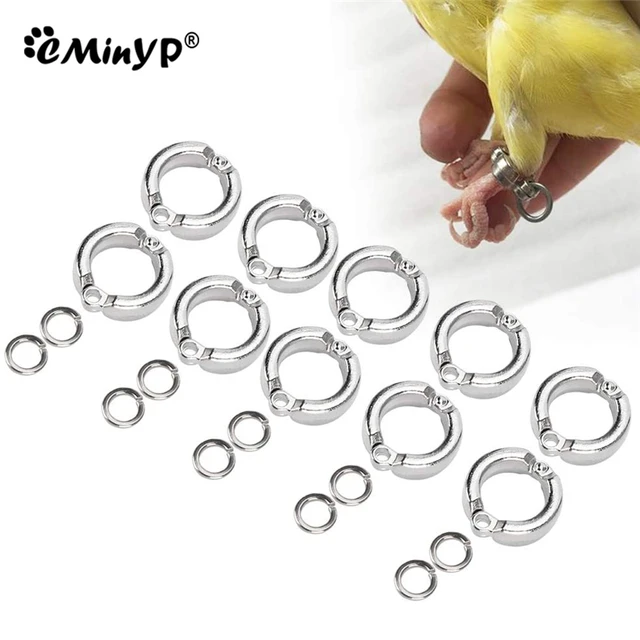 Open Bird Foot Ring Parrot Leg Bands Rings Metal Bird - Temu