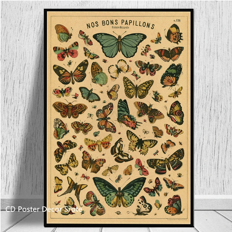 vintage butterfly poster Art Print for Sale by Alexis6214 | Redbubble