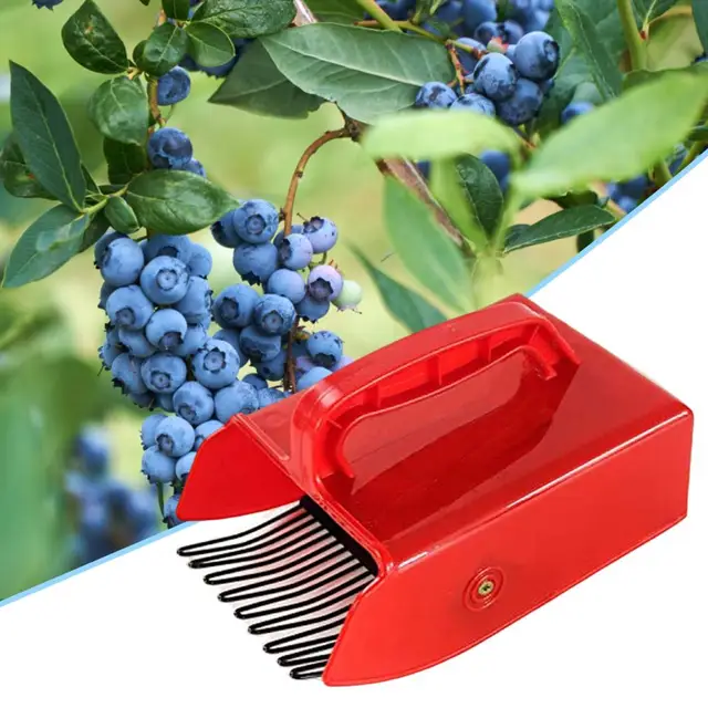 Gyümölcskarosó Szerszám Széles Körű Alkalmazások Munkatakarékos Időmegtakarító Fogantyú Áfonya Spatula A Hátsó Udvarra - Image 6