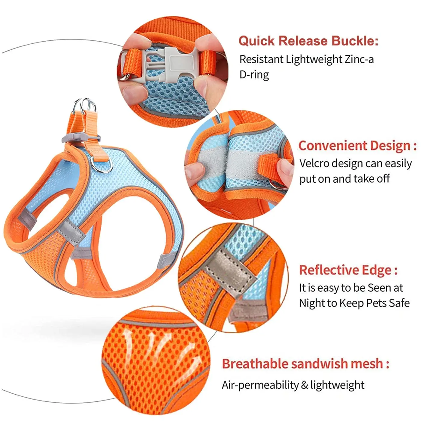 S6c8e93a6cb6c4545b2a5346464ed3c19C