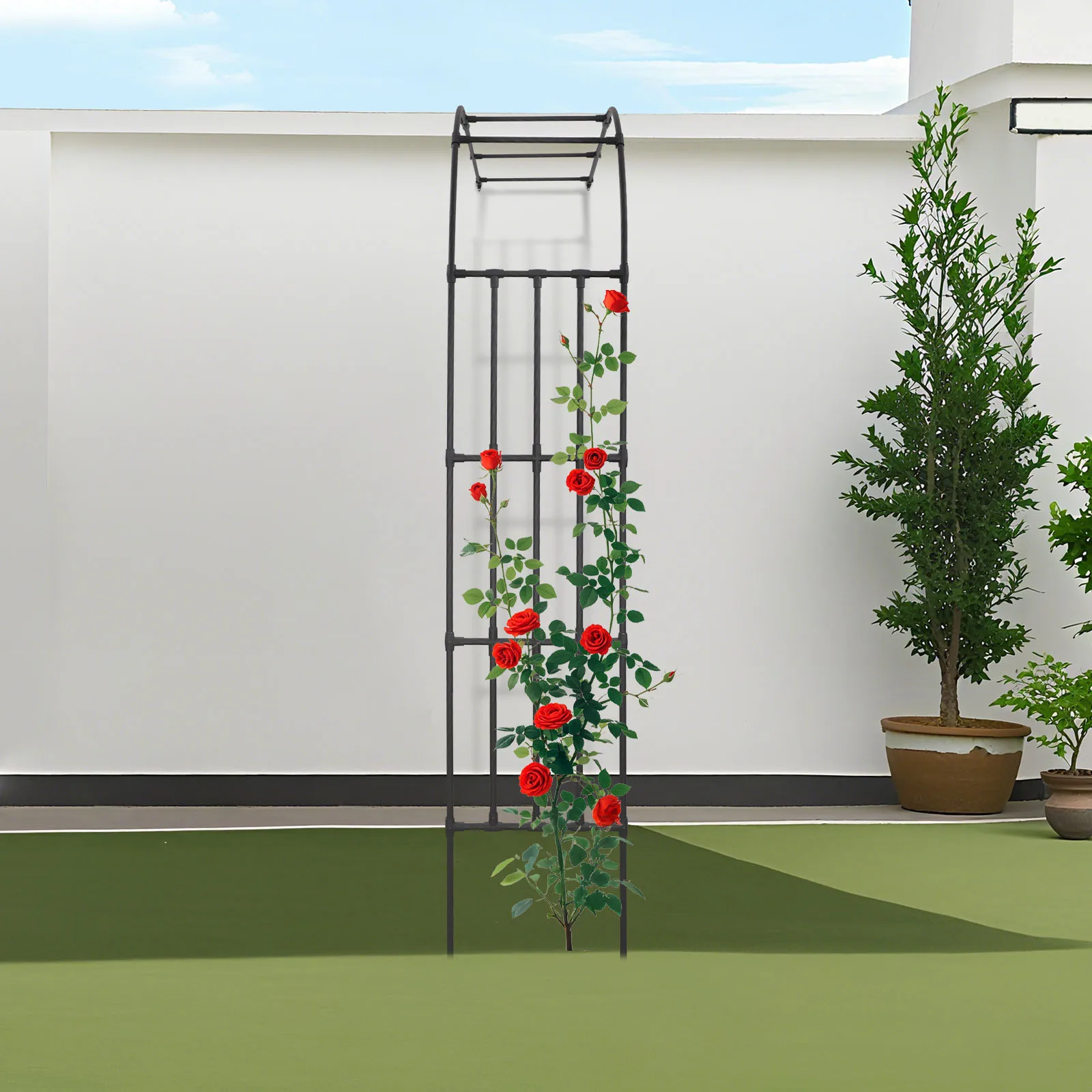 1,5×2,6m Schwarzes Halbrund-Gartenspalier – Robustes Stahlspalier für Kletterpflanzen/Reben zur Dekoration von Garten/Rasen – Detail 3
