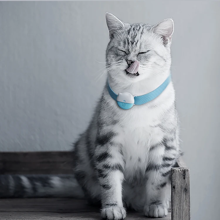 Mini GPS Tracking Collar EV-206M Small Pet 4G GPS Tracker For Dogs And Cats
