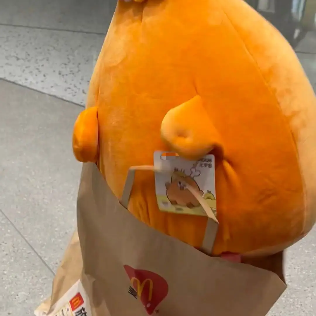 Dundun 낙서 닭 다리 봉제 베개, 매우 부드러운 박제 동물 수탉 수면 봉제, 어린이 생일 장난감 선물