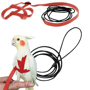 Training Flying Traction Rope Anti-Bite Training Rope Bird Leash Parrot Flying Rope Parrot Harness Bird Harness Leash