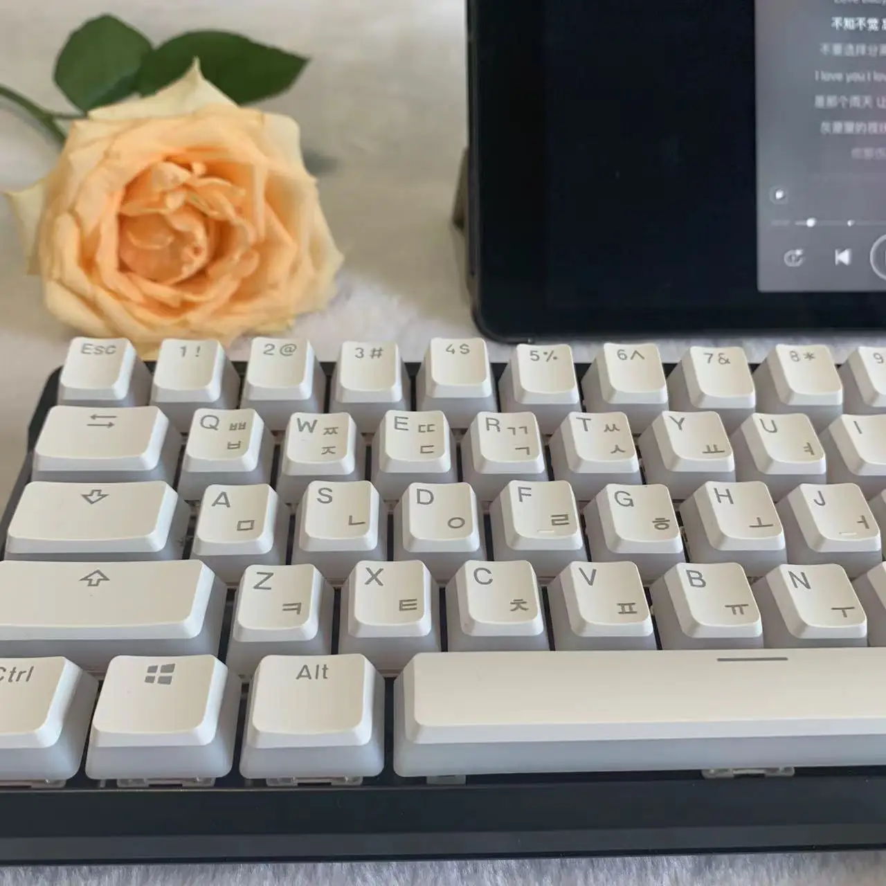 Keycap Coreano Hangul Keycap de Layout Coreano Pudim Keycaps Grupo Perfil Oem para Teclado Mecânico de Jogos para Cherry mx Switch - Imagem 4