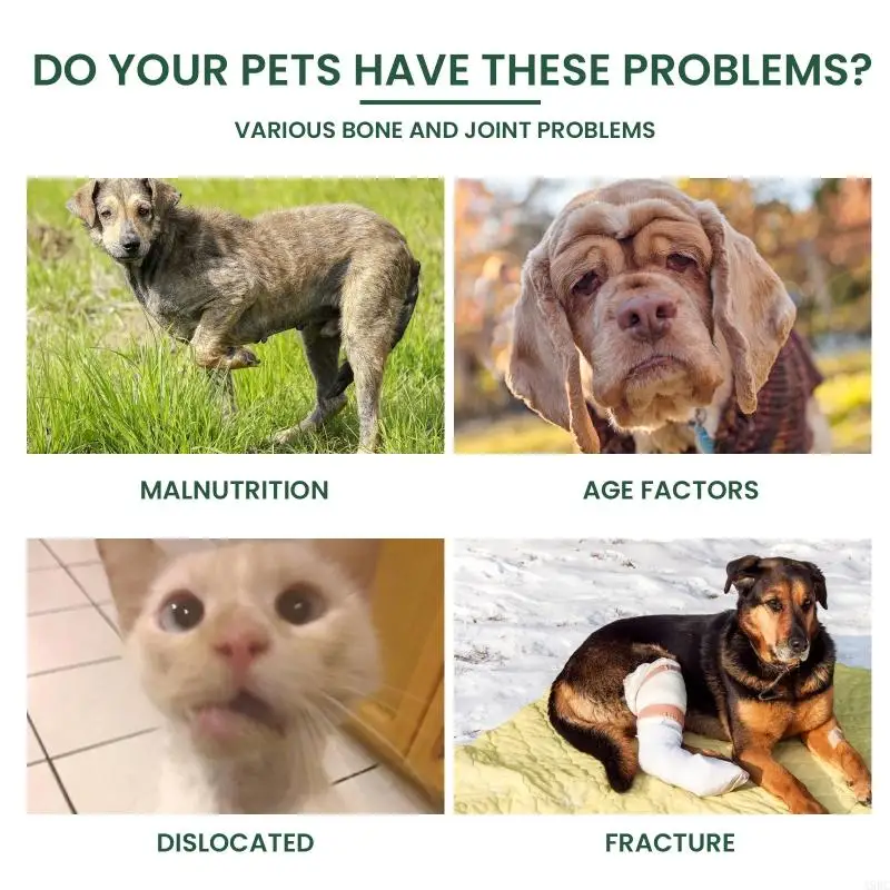 A9BC Pet Joint Repairing Drops for Pets Bone Deformity Healing Formula for Cats Dogs Joints Care Support Solution