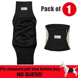 Washable Reusable Dog Diaper Belly Band - Absorbent Leak-Proof Sanitary Wrap - M (MD40)