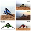 250cm Professional Stunt kite Falcon kites flying Ballet Formation Kite factory Freilein kite dual line for adults Power kite 1