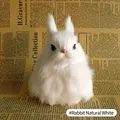 Rabbit Natural White