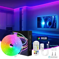 Lumières LED néon flexibles de 5M/10M, contrôle avec application/télécommande, plusieurs Modes, veilleuses rvb extérieures étanches IP65 1