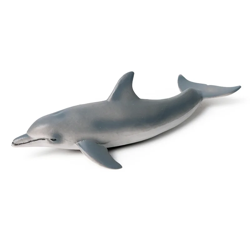 

Children's early education cognitive toy simulation marine animal dolphin model underwater animal dolphin plastic ornaments