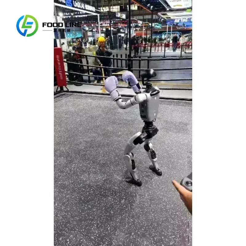 Robot Umanoide Bipede Personalizzato con Controllo Avanzato del Movimento per Applicazioni di Boxe e Intrattenimento Interattivo - immagine 5