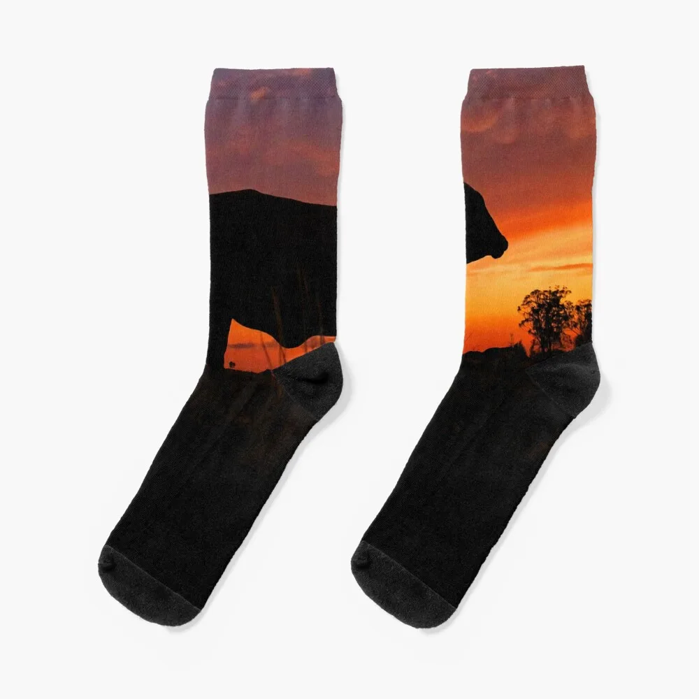 

Droughtmaster Sky Socks gift anti-slip floor Socks For Women Men's