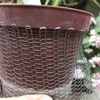 6pcs Root Protector Wire Baskets Root Protector Plants Baskets Cord Protector Woven Baskets Stainless Steel Outdoor Cover 4