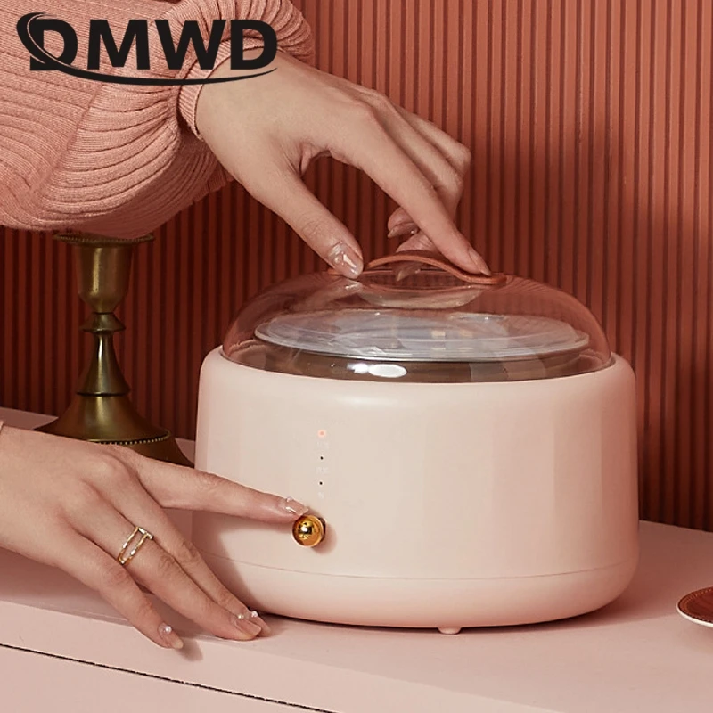DMWD Household DIY Yogurt Machine Natto Rice Wine Maker Stainless Steel Liner Automatic Fermentation 3 gears Acidity 220V 4